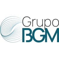 Grupo BGM logo - Similar company to Flimsa
