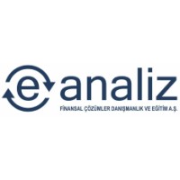 E Analiz Finansal Danışmanlık ve Eğitim A.Ş. logo - Similar company to Minduce It Consulting Services Ltd.