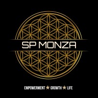 Monza Capital LLC logo - Similar company to Linework