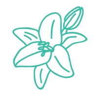 lingolily logo - Similar company to English 360