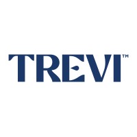 Trevi logo - Similar company to Ironside Media