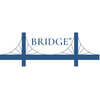 BRIDGE© logo - Similar company to Nikit