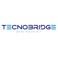 Tecnobridge logo - Similar company to Excel Infocom Pvt Ltd
