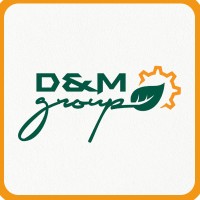 D & M Group
