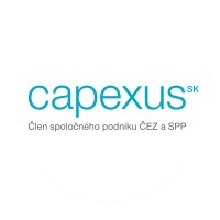 CAPEXUS SK logo - Similar company to Capexus
