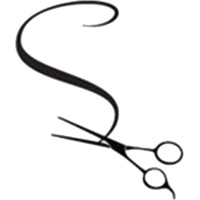 Shear Perfection Hair Salons logo - Similar company to Lemon Tree Hair Salons