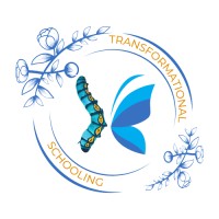 Transformational Schooling logo - Similar company to Social Action Mobilizer