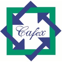Fine Expertise logo - Similar company to Cabexel - Cabinet D'Expertise El Kamili