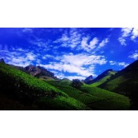 Munnar Tour ( anaerangal123@gmail.com) logo - Similar company to Edu Plan