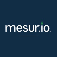 mesur.io logo - Similar company to Bardess Group, A Cleartelligence Company