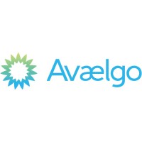 Avaelgo logo - Similar company to Softstate Technologies