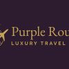 Purple Routes logo - Similar company to Shree Krishna World