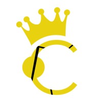 Chrono Infotech logo - Similar company to Sharesoft Technology