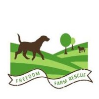 Freedom Farm Rescue