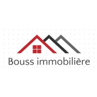 Bouss Immobilière logo - Similar company to Lci Group