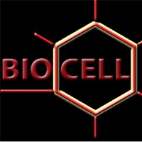 BioCell Clinic logo - Similar company to Regal Plastic Surgery Centre