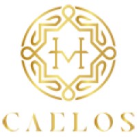 Caelos logo - Similar company to Done. Building Your Online Academy