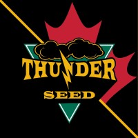 Thunder Seed logo - Similar company to Midwest Seed Genetics