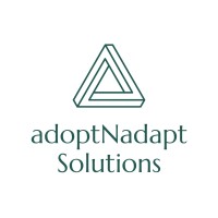 ANA Solutions / s3netra logo - Similar company to Ana Solutions