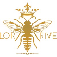 LORRIVE logo - Similar company to Reemami