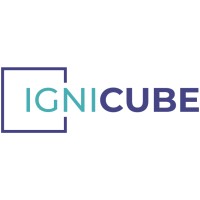 Ignicube Pvt Ltd logo - Similar company to Digipops.Tv