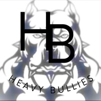 Heavy Bullies logo - Similar company to Power Entertainment