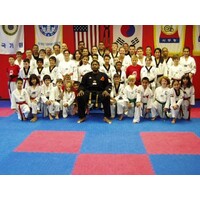 USA SPIRIT MARTIAL ARTS ACADEMY INC. logo - Similar company to Sagasu Family Martial Arts
