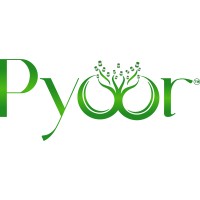 PYOOR Global Enterprises logo - Similar company to Etoile Info Solutions Pvt.Ltd.
