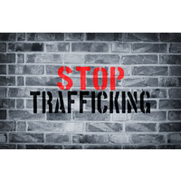 Midwest Trafficking Task Force logo - Similar company to National Rescue & Response Institute