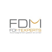 FDM'EXPERTS logo - Similar company to Fdm'Experts