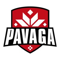 Pavaga Gaming logo - Similar company to Shinetech