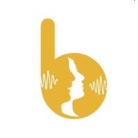 bvocal logo - Similar company to Amdavad X