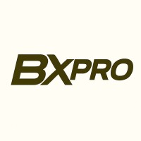 Banxpro logo - Similar company to Capital Selection