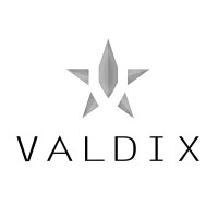 VALDIX MARINE OIL&GAS logo - Similar company to H&R Naviera, S.A. De C.V.