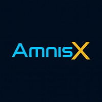 AmnisX logo - Similar company to Executive Allure
