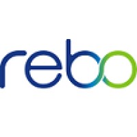 Rebo Lighting & Electronics, LLC logo - Similar company to Yuji Lighting