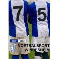 v.v. VSW Windesheim logo - Similar company to Sv Arc