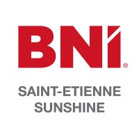 BNI ST ETIENNE SUNSHINE ELITE logo - Similar company to Dls Design Lighting System