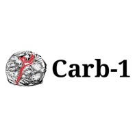 Carb-1 logo - Similar company to Arda Solutions S.R.L.