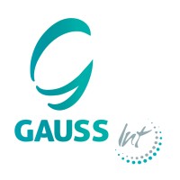 Gauss International Consulting logo - Similar company to Greenlight Ec