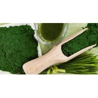 Agreen Company SAC logo - Similar company to Alimenta Algae
