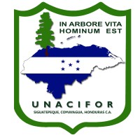 Universidad Nacional de Ciencias Forestales logo - Similar company to Sternemedia