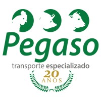 Fletera Pegaso logo - Similar company to Alogistics