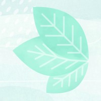 Mint Occupational Therapy logo - Similar company to Innovative Case Management (Icm)
