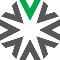 VICIVISION Mexico logo - Similar company to Vicivision America