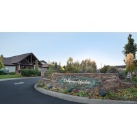 Wellspring meadows