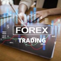 Forex Trading Academy logo - Similar company to Forex Trading Academy