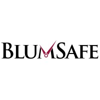 BlumSafe logo - Similar company to High Class  Collision  Center
