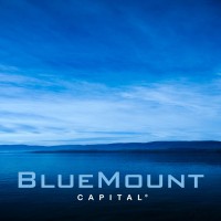 BlueMount Capital logo - Similar company to Electro Ventures