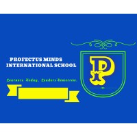 PROFECTUS MINDS INTERNATIONAL SCHOOL logo - Similar company to Skillston Educational System